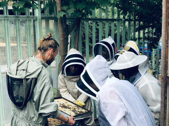 Bees & Refugees community beekeeping experience business London