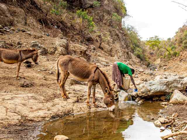 Makito collects water at the closest watering point. With most of the other rivers dried up around her, this is the only one she can collect from. Here, people wash their clothes and drink from it along with their cattle.