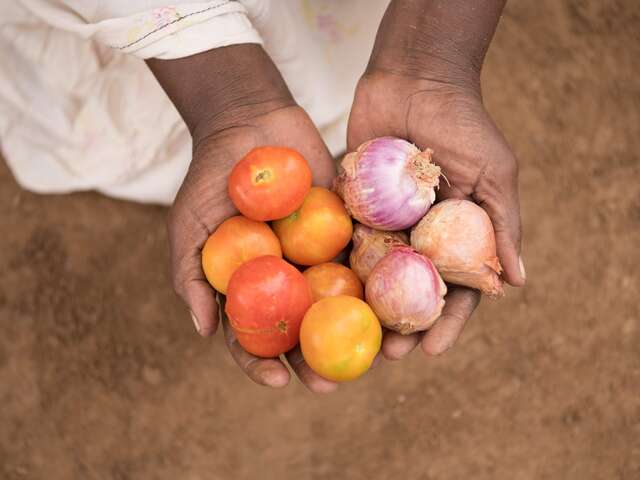 Bisharo’s wish is to feed her children a variety of nutrient-rich foods that will keep them healthy. With cash assistance from IRC, funded by the EU, she was recently able to buy tomatoes and onions for her family.