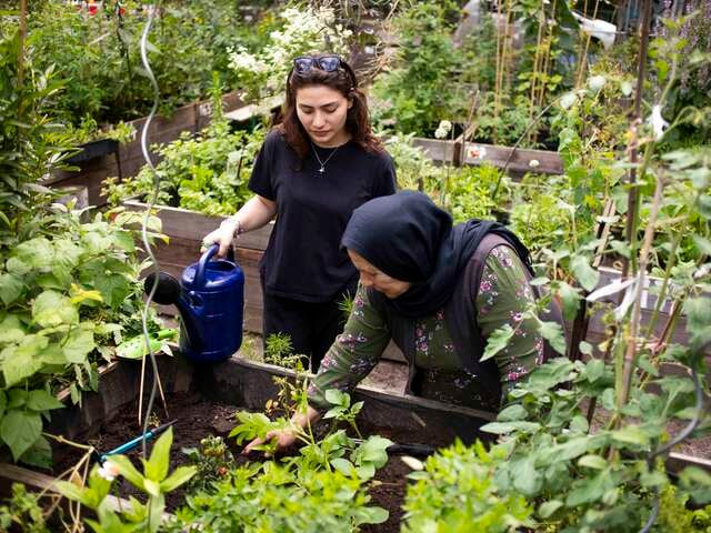 Zwei Personen beim gemeinsam Pflanzen in einem Garten.