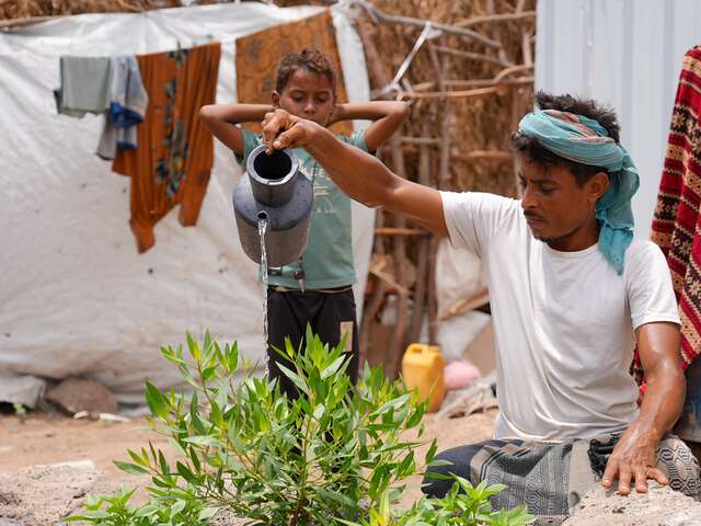Ahmed watering his plants. 