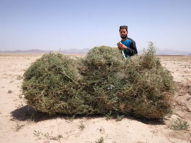 A man poses with a bushel of crops, against a barren, dry landscape.