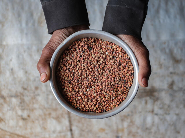 A bowl of grain 