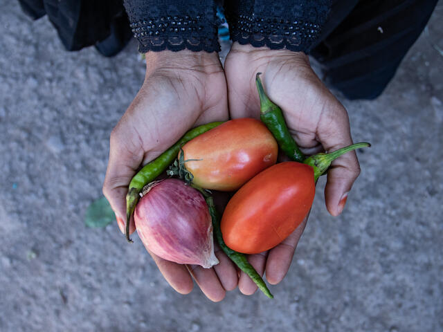 Hand holding fruit