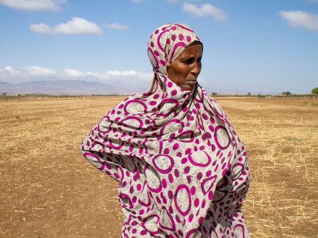 An elderly woman, hands at her hips, stands in a parched field in Ethiopia looking into the distance.