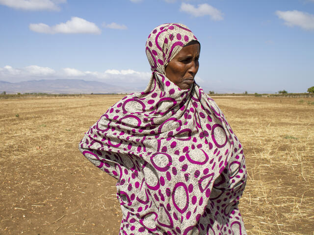 An elderly woman, hands at her hips, stands in a parched field in Ethiopia looking into the distance.