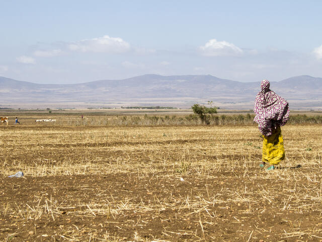 A woman stands in a parched field in Ethiopia with mountains in the distance.