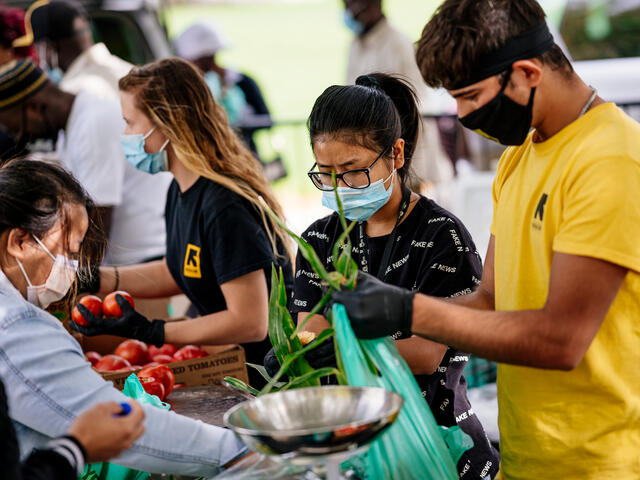 Staff and interns at the International Rescue Committee (IRC) in Salt Lake City help package produce from New Roots farmers