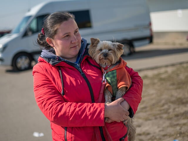 A woman in a pink coat stands in front of a van holding a Yorkshire Terrier 
