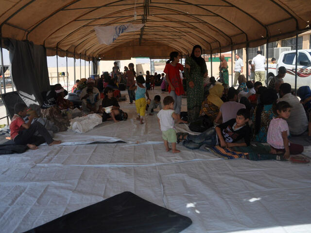 Syrian families shelter under a large tarp in Hasakah Province