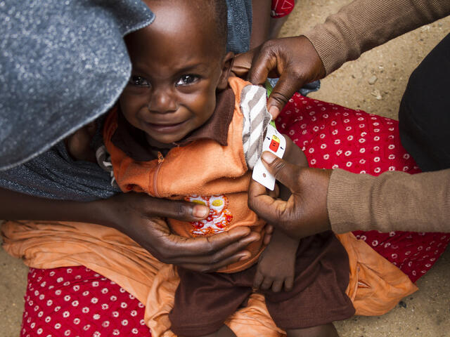 Nigeria Maiduguri Yobe malnutrition 