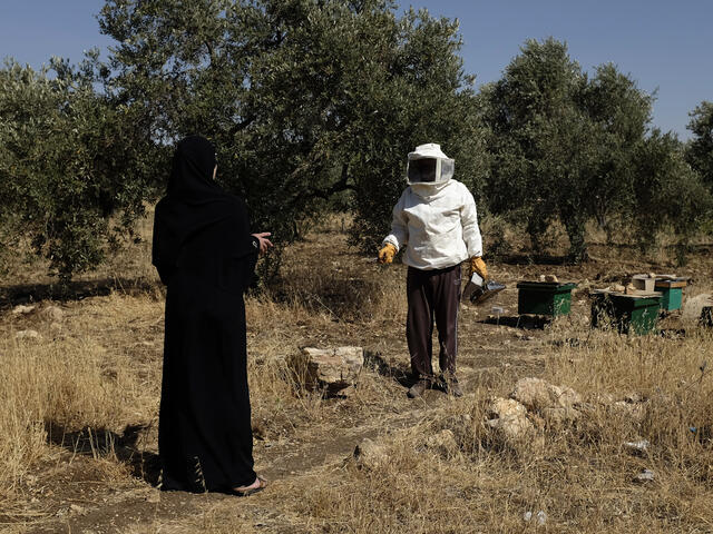 Syrian woman and her husband tending to beehives in Jordan