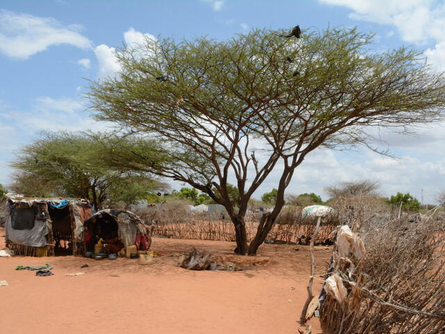 Unacceptable living conditions in Hagadera camp, Dadaab, highlight the need for durable solutions for Somali refugees in Kenya.