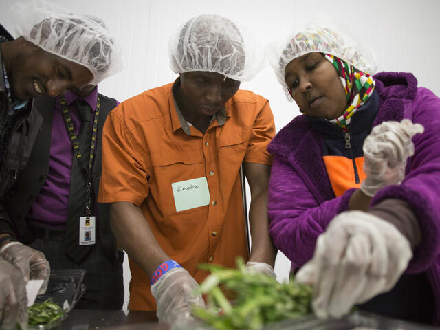 Refugees practice packing herbs in a warehouse