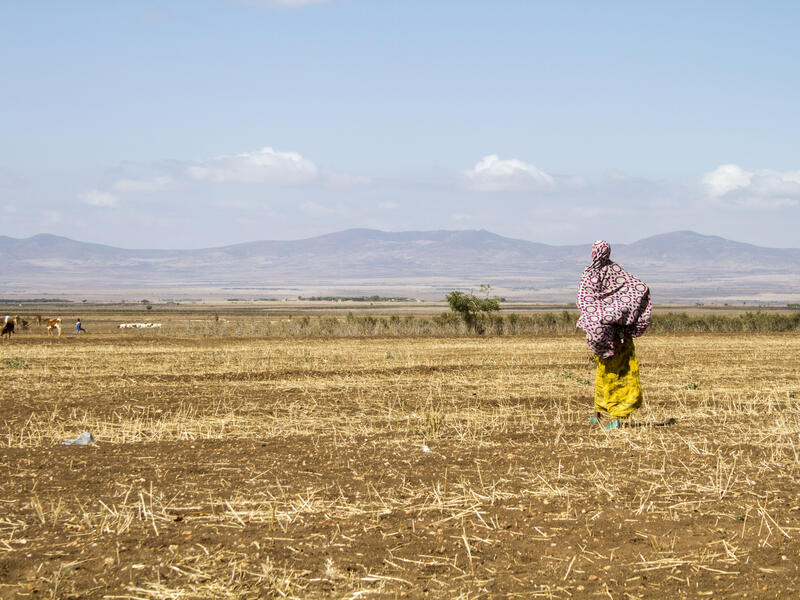 A woman stands in a parched field in Ethiopia with mountains in the distance.