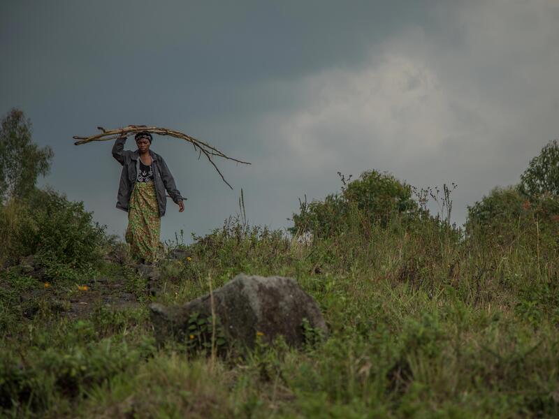 Against a lush green landscape, a woman walks carrying large sticks over her head. 