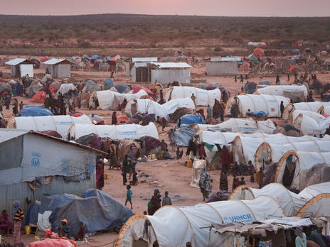 Ted Talk with David Miliband