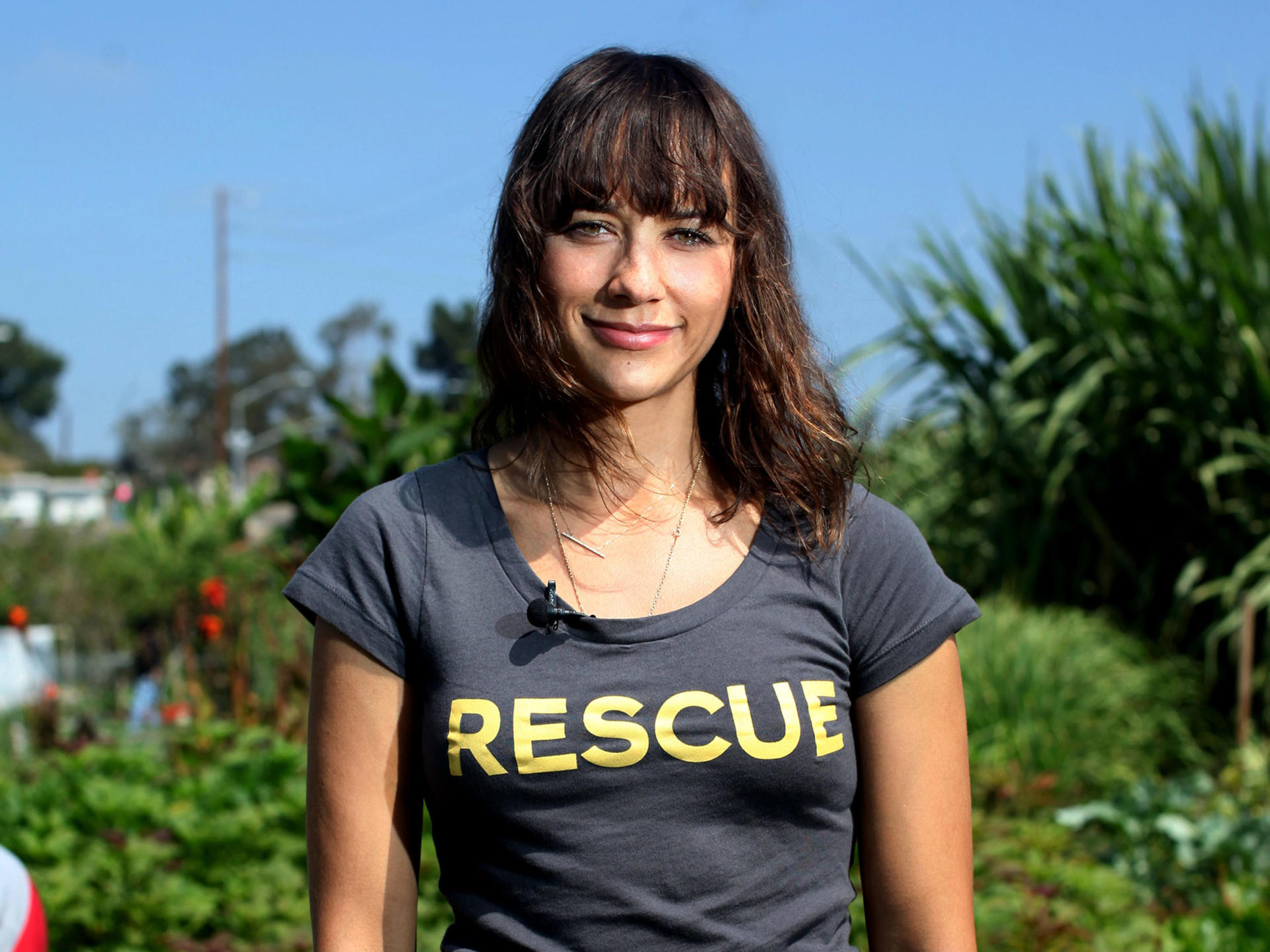 Saira Rasheed Volunteer How To Help | International Rescue Committee (IRC)