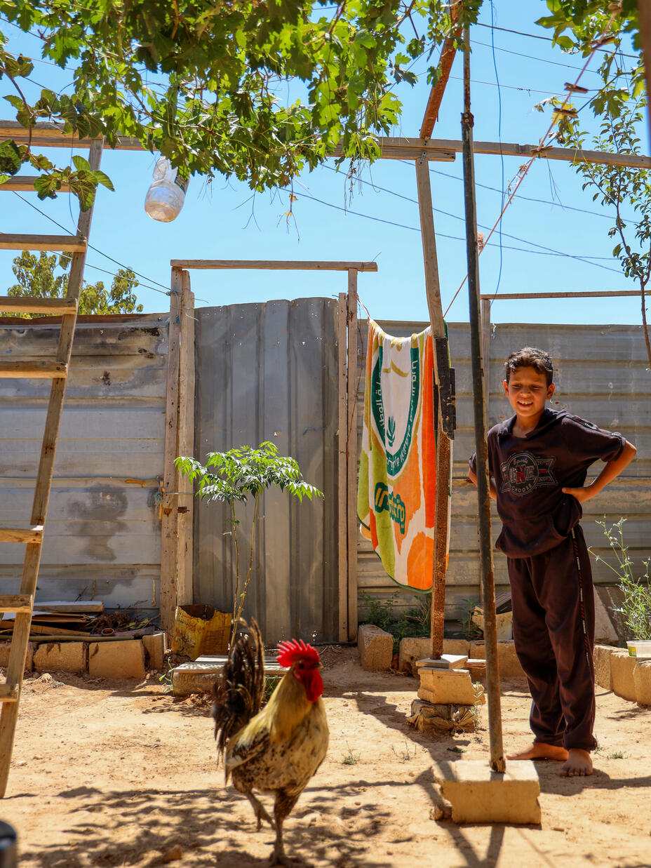 Ten-year-old Nawras watches his pet rooster strut around in the yard behind his home in Zaatari refugee camp