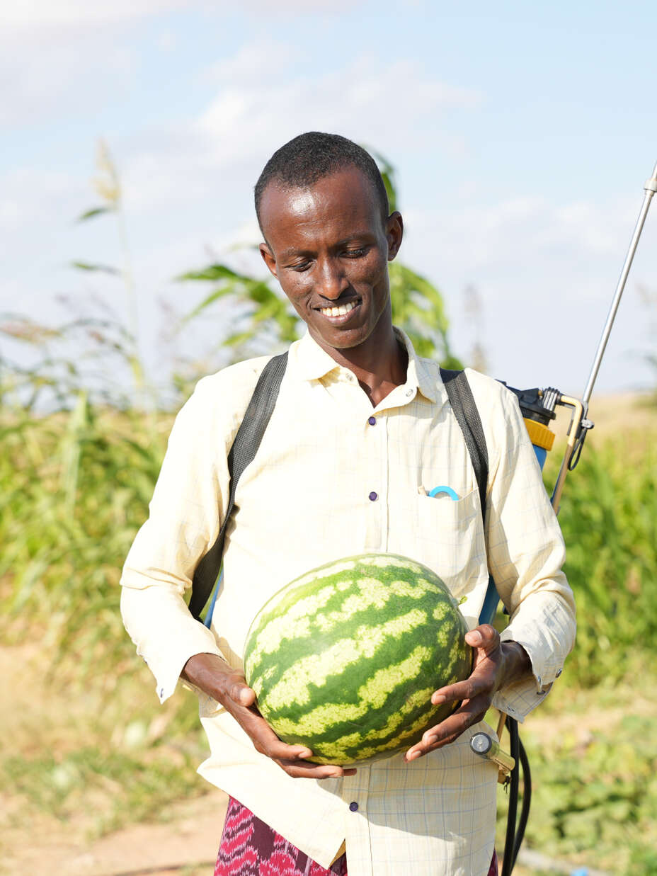 Farmer holding a watermelon