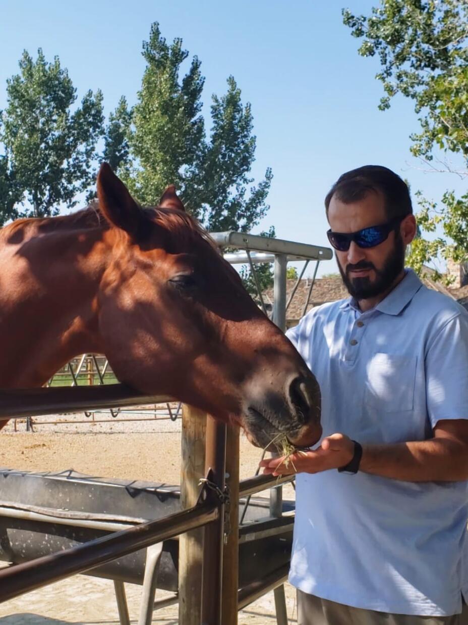 A man with sunglasses standing with a horse feeding it hay outside.