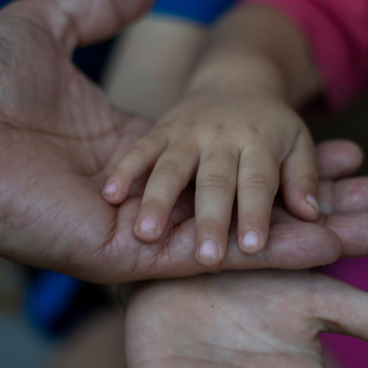 Child's hands with adult 