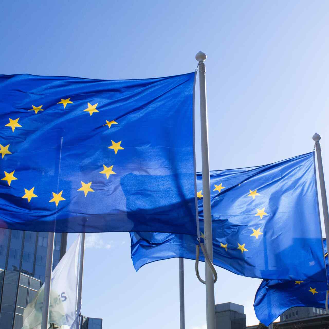 European Union flags