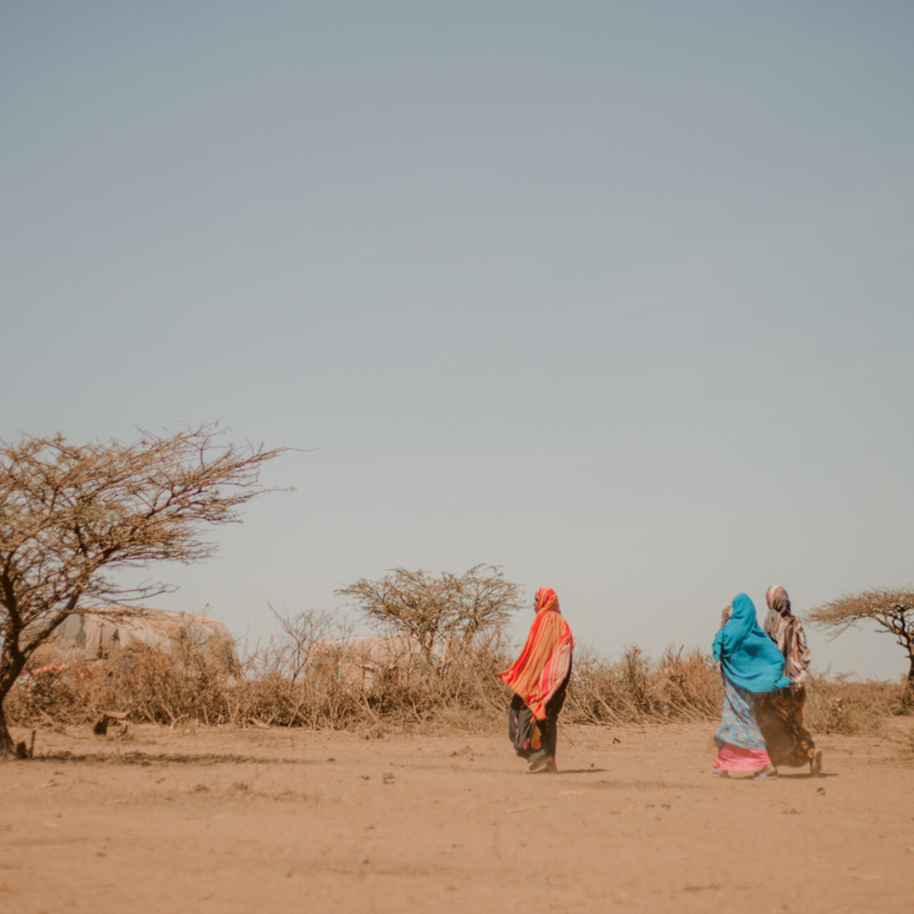 klimatkrisen: kvinnor och flickor går i ett utbrett ökenlandskap i Somalia.