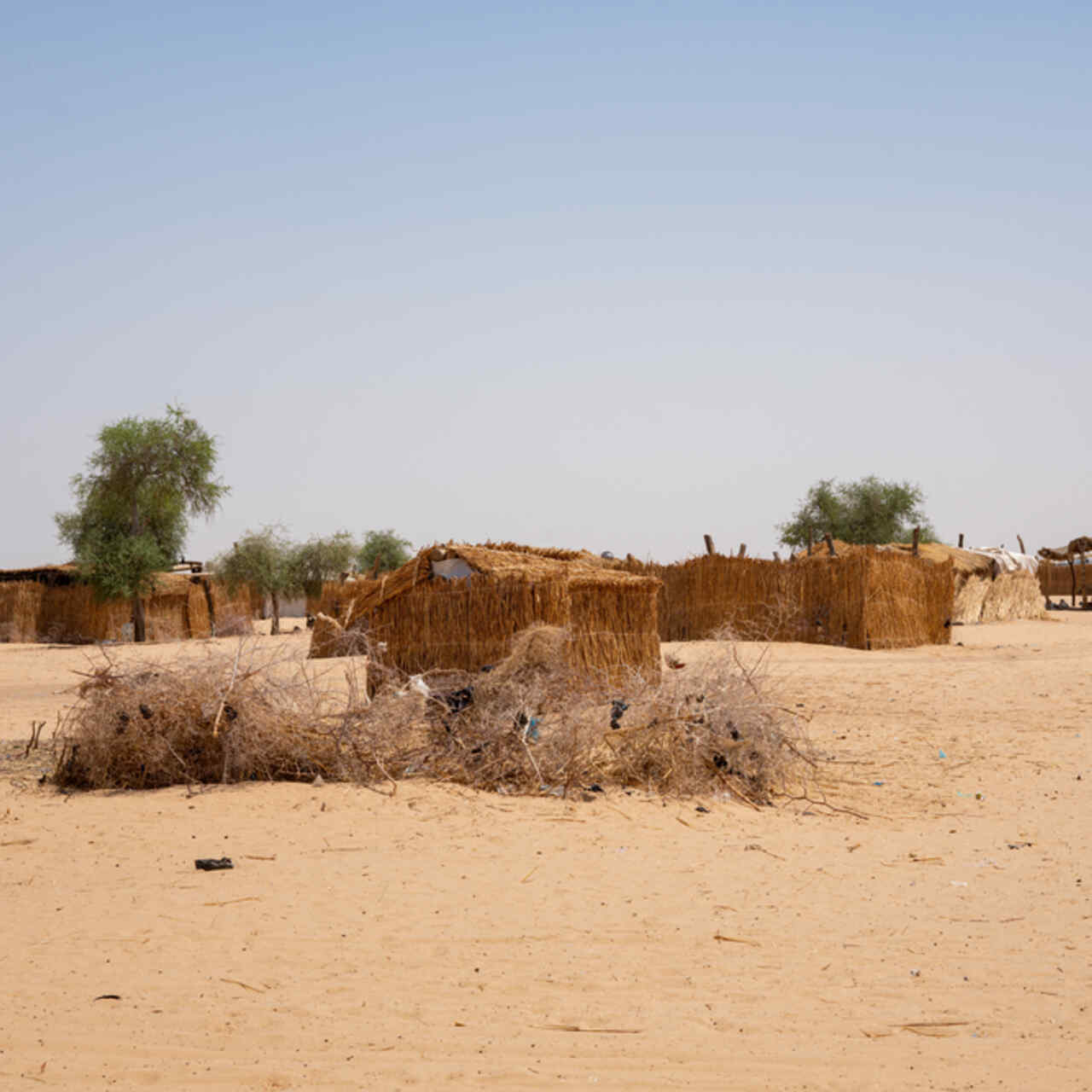 Refugee camp in Awaridi village, 4km from downtown Diffa where IRC teams operate.