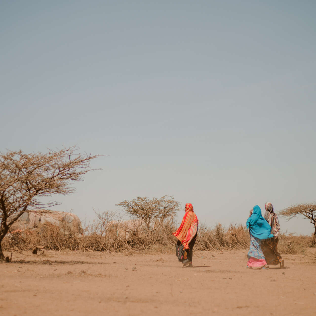 Klimatkrisen: kvinnor och flickor går i ett utbrett ökenlandskap i Somalia. 