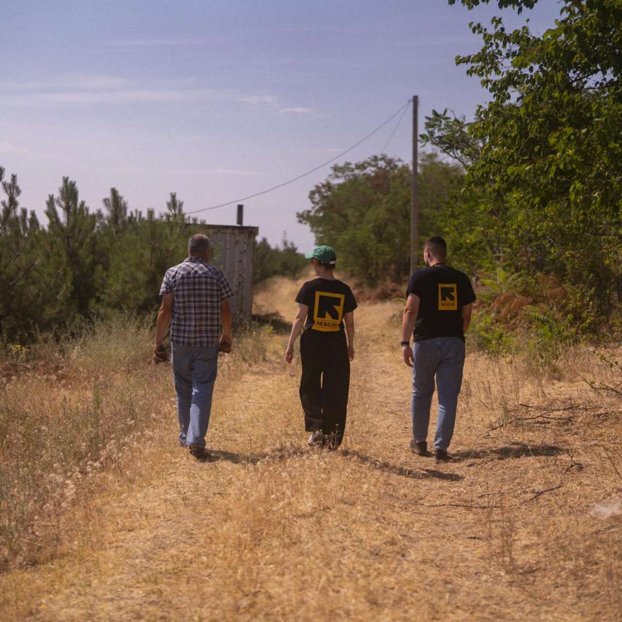 Zwei IRC-Mitarbeitende und eine weitere Person, die auf einem Feldweg zwischen Kiefern entlanggehen.
