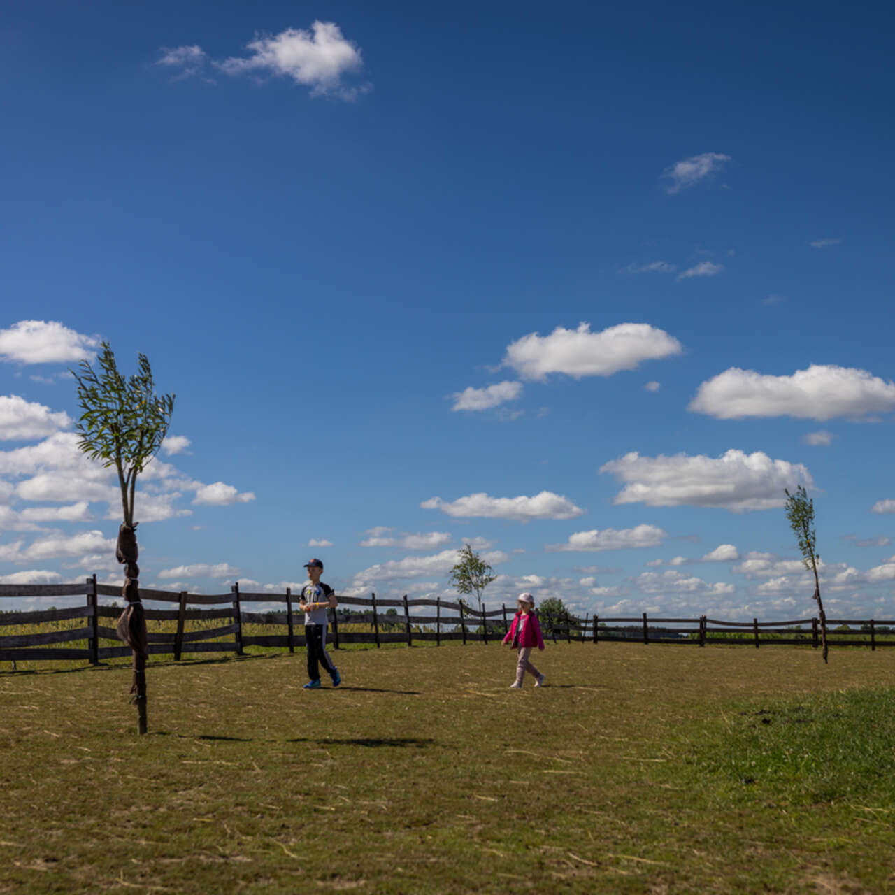 Landscape shot in Poland