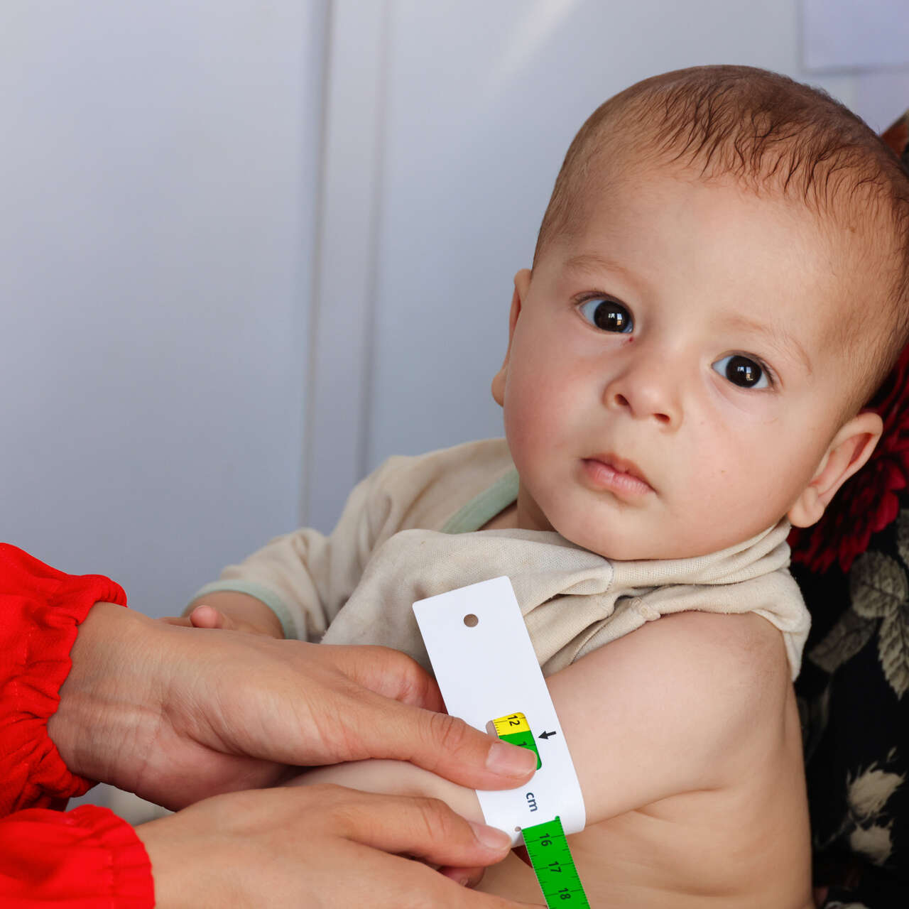 20250524_Afghanistan_AKSediqi_ECHO_Health_Nutrition-8