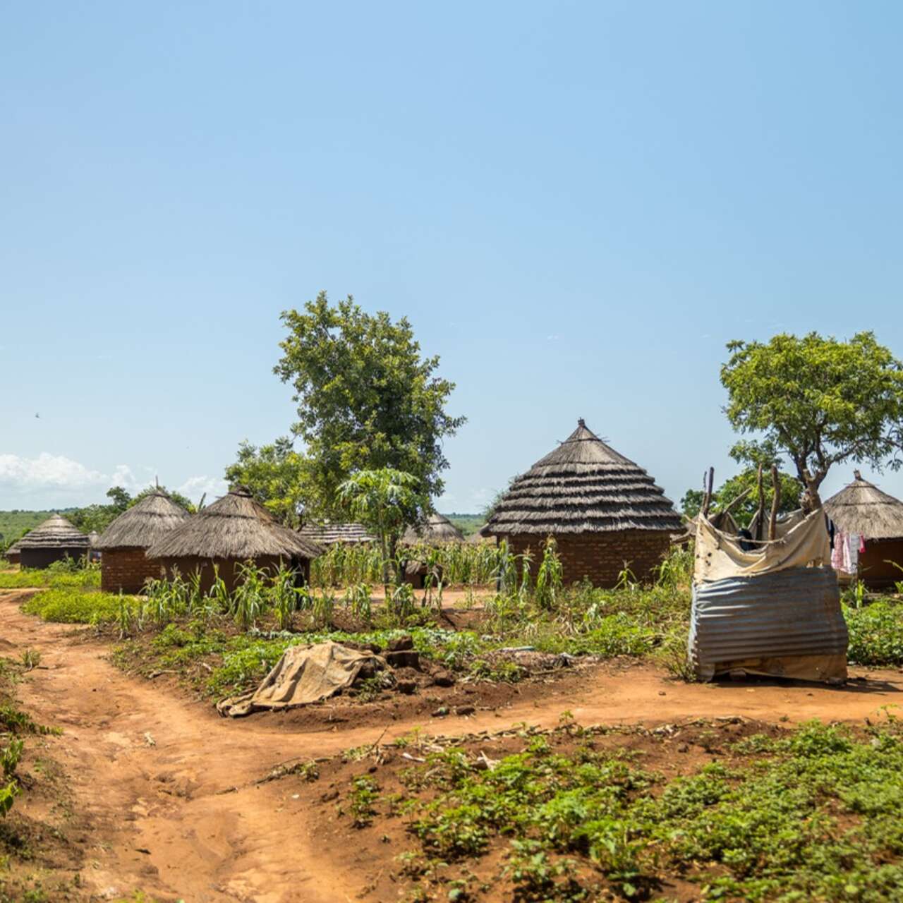 Landscape image of the displacement settlement where Beatrice now lives.