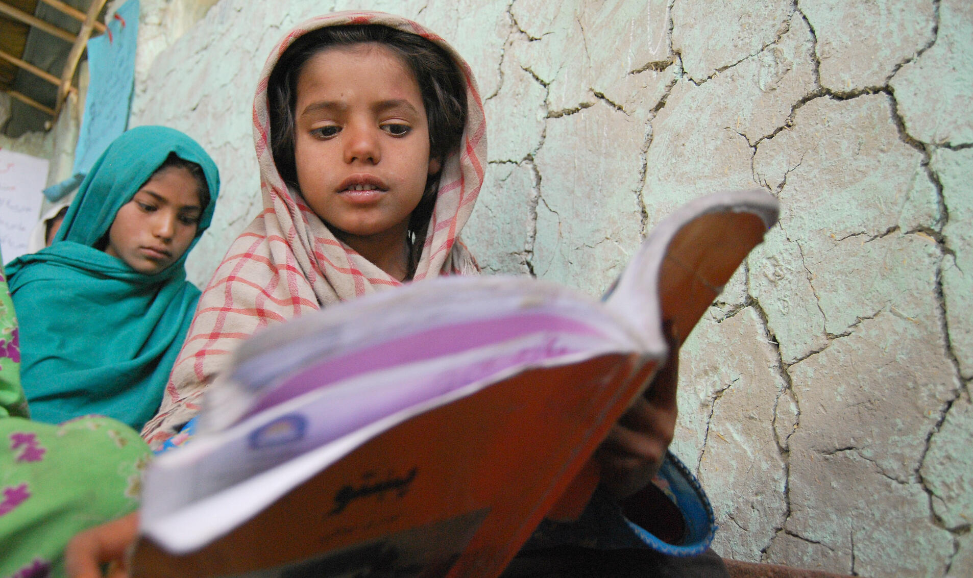 a girl reading in a book