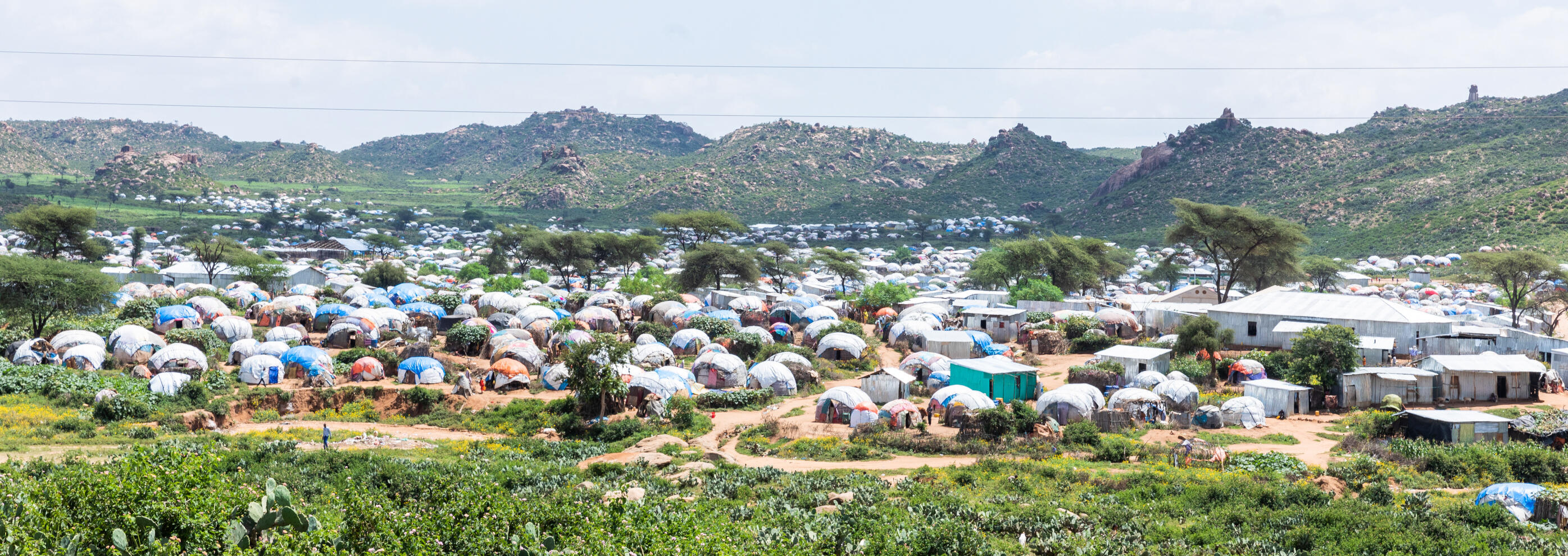 Landscape of Qoloji camp