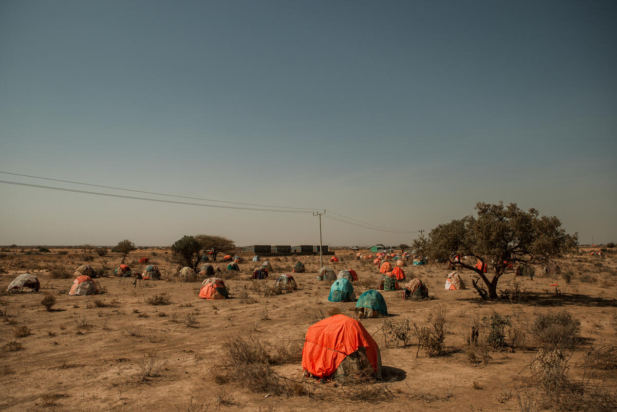 Drought has forced communities in Elele to relocate. In search of water for their animals, they move closer to nearby villages. Elele, Somali Region.