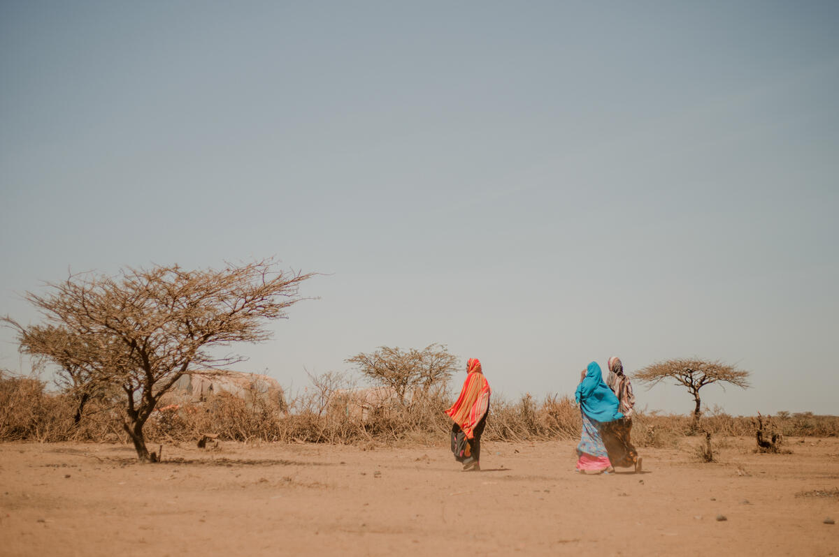 klimatkrisen: kvinnor och flickor går i ett utbrett ökenlandskap i Somalia.