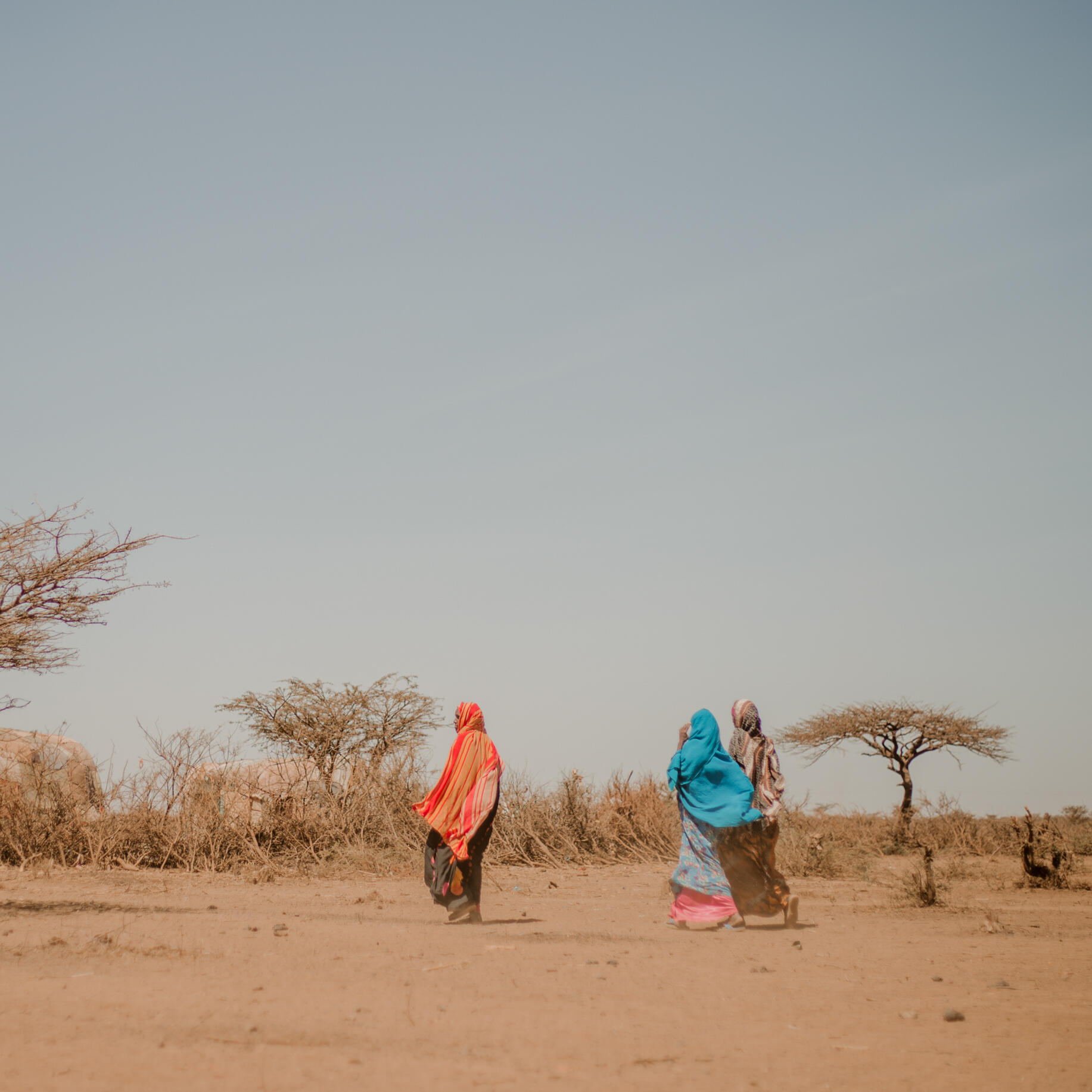 Two women walk through a drought-stricken landscape from Ethiopia. The barren landscape is dotted by dried-up trees.