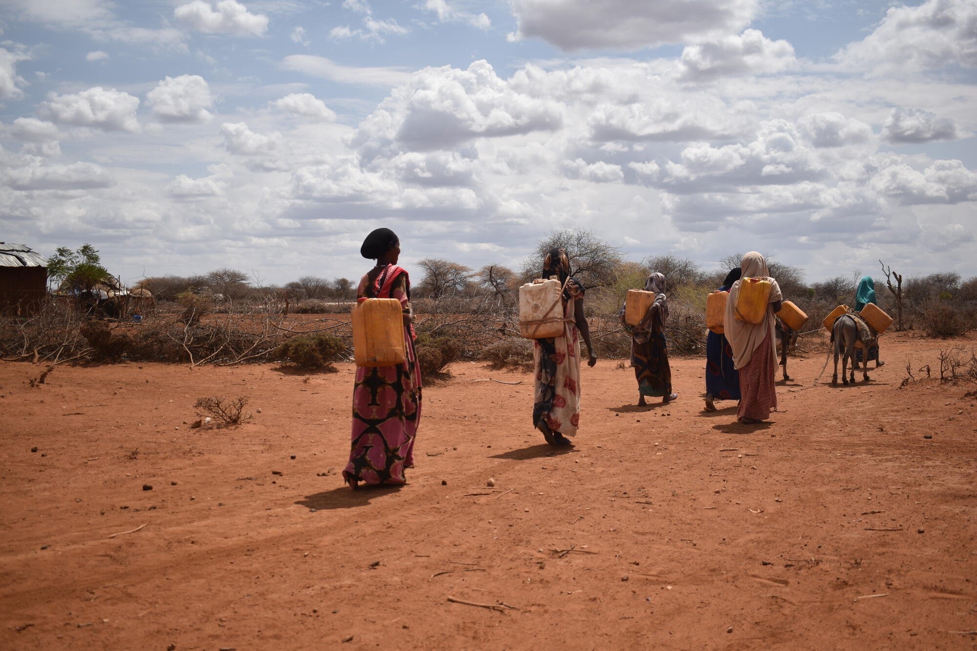 Women walking to collect water in Ethiopia