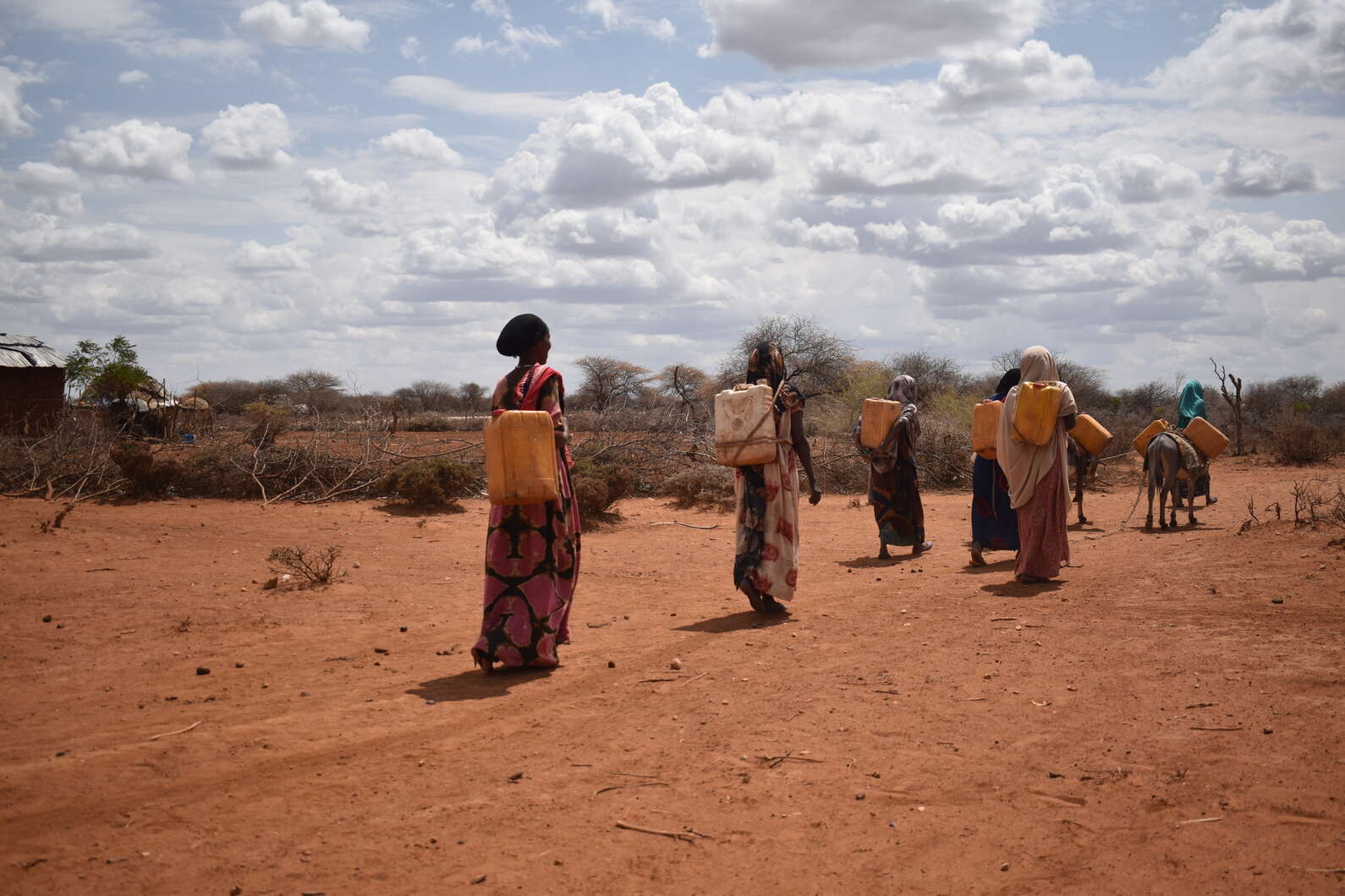 Kvinnor går för att hämta vatten i Etiopien