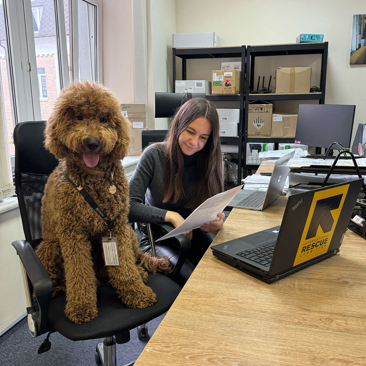 Ferapont the puppy our new wellbeing officer 