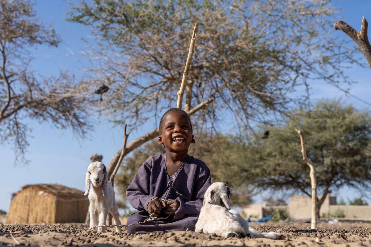 En liten pojke leker med två killingar i Tchad. 