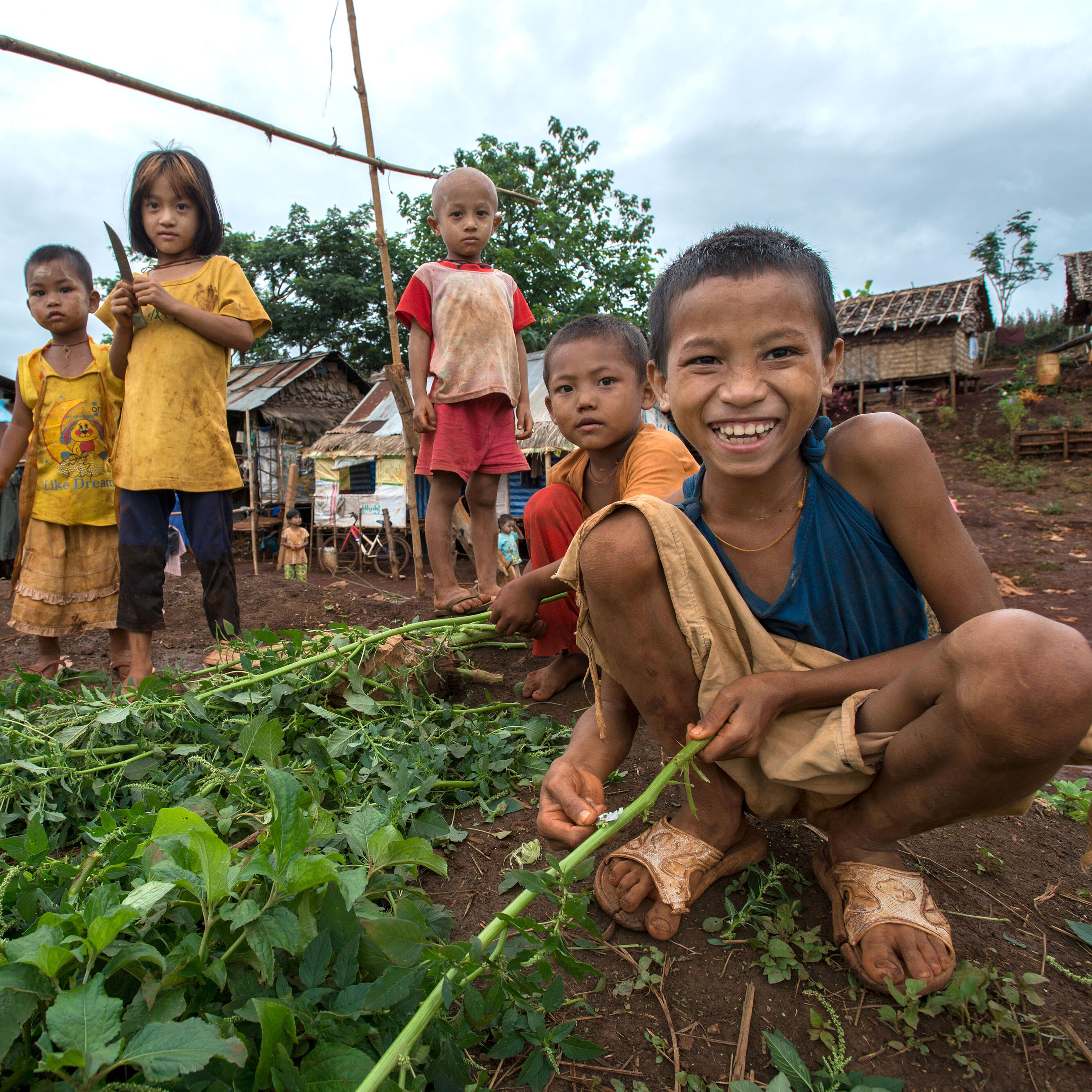 Young children outside surround a small garden in a settlement for migrant workers.