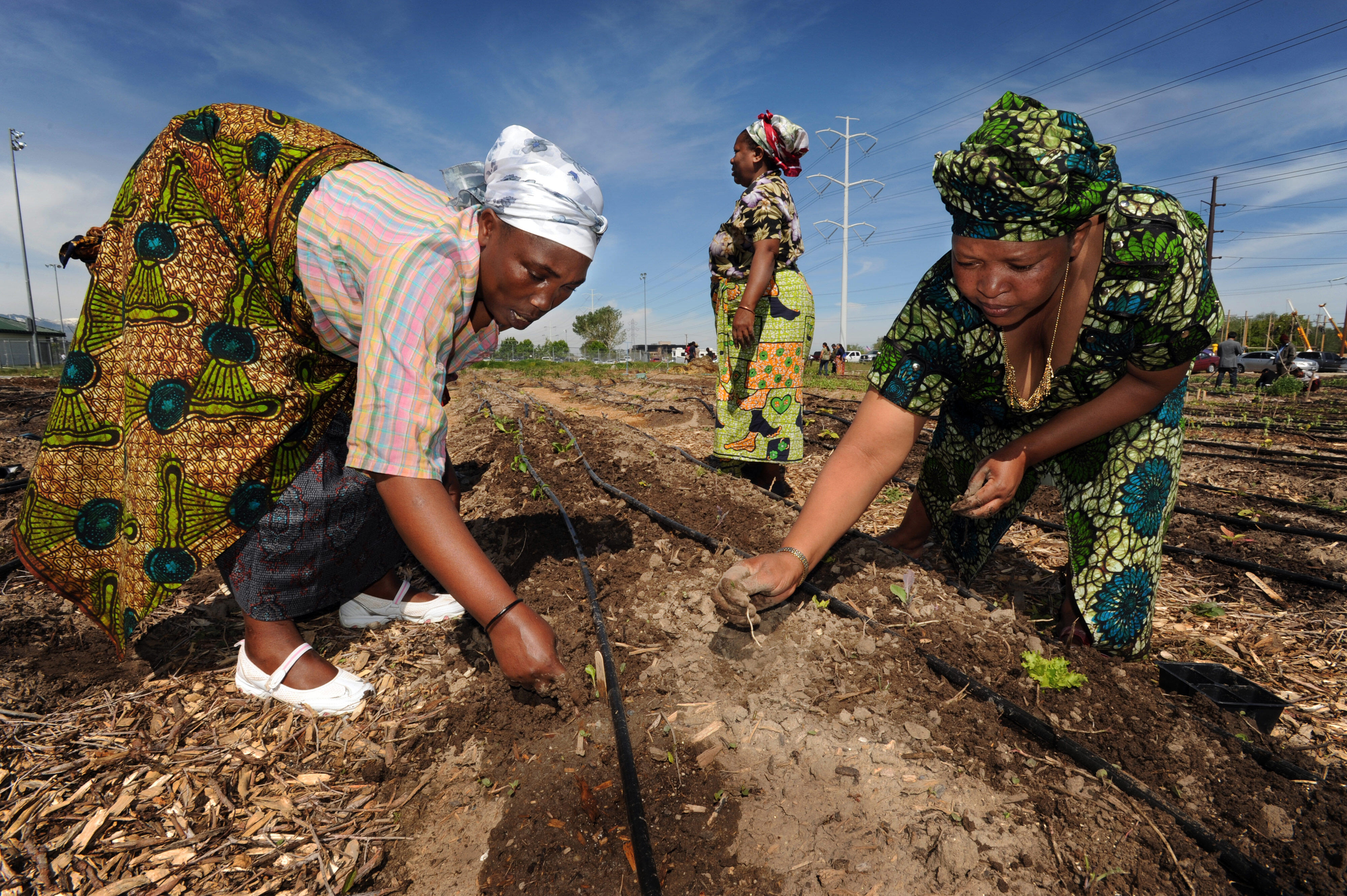 Two women crouch as they tend to their large garden.