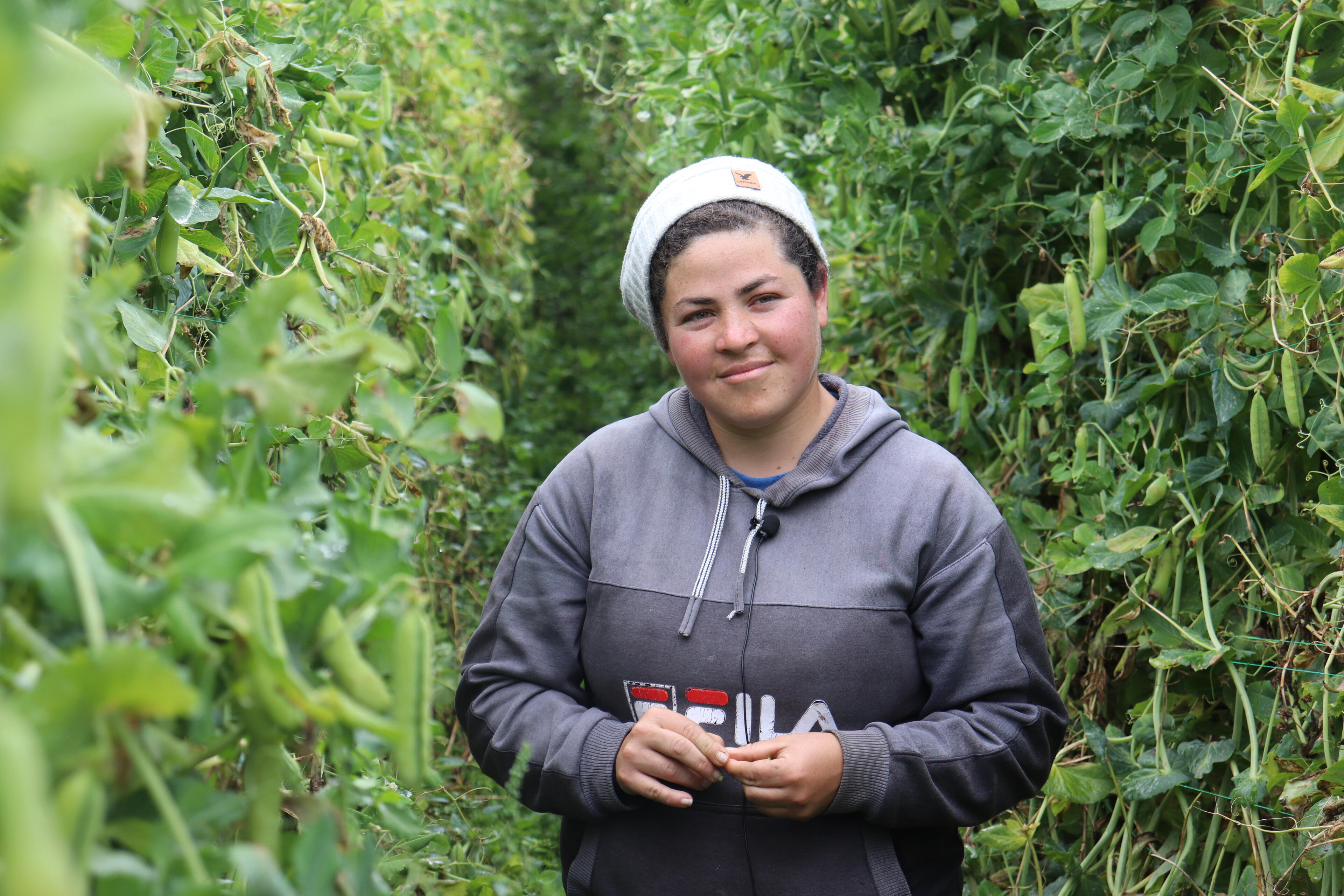 Nane, wearing a sweatshirt and cap, stands smiling among rows of peas growing on the farm where she works in Ecuador.