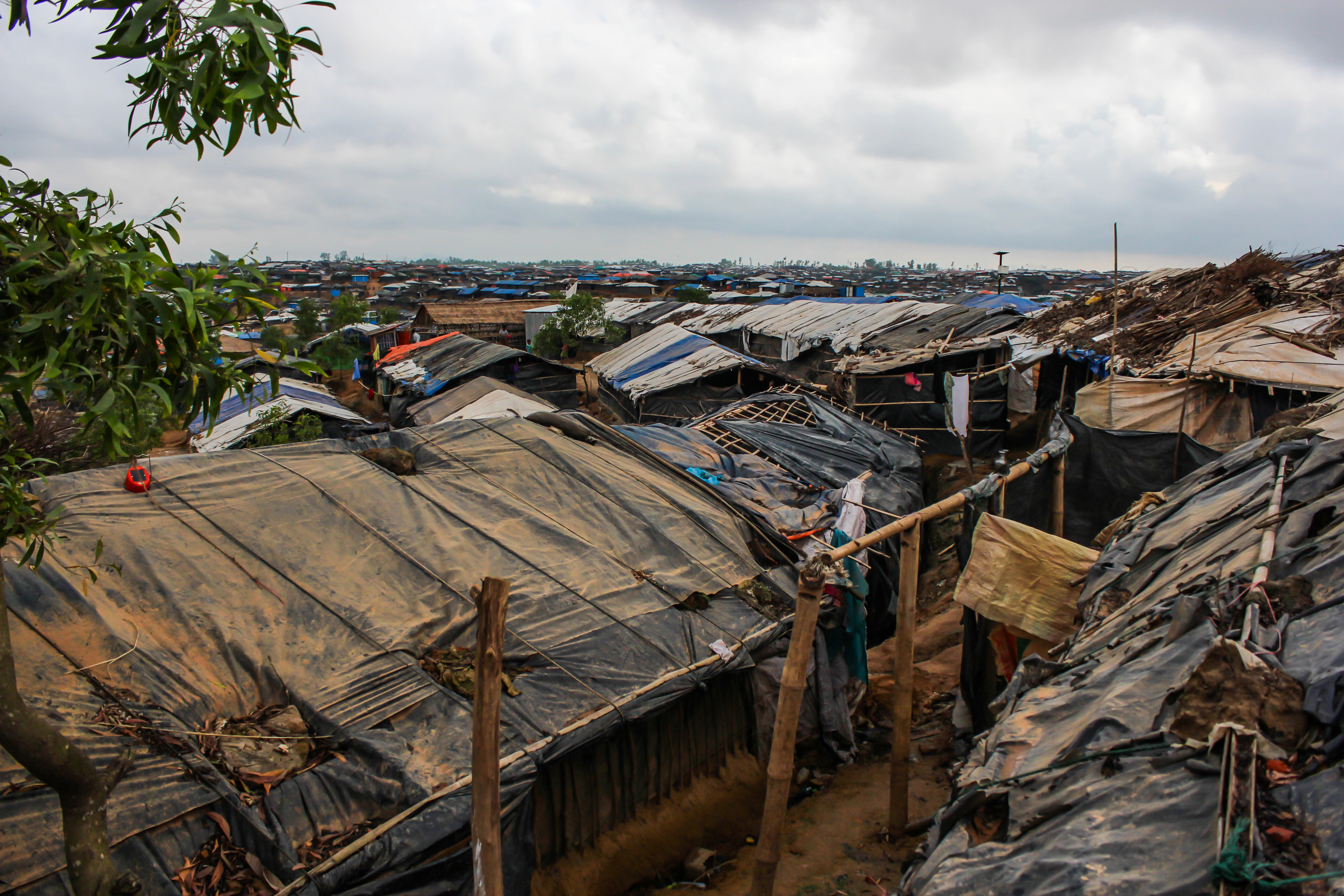 Makeshift refugee shelters made of bamboo, tarps and other found materials.