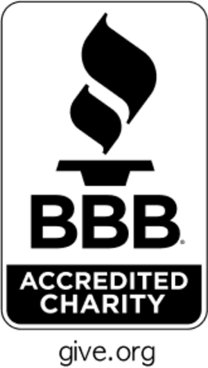 국제구조위원회는 BBB Wise Giving Alliance의 책무성 기준 20가지를 모두 충족합니다.