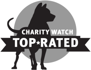 charity watch