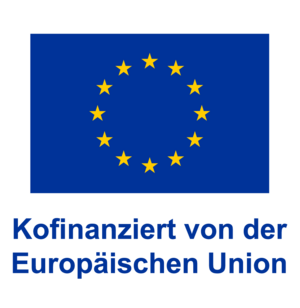 EU Logo